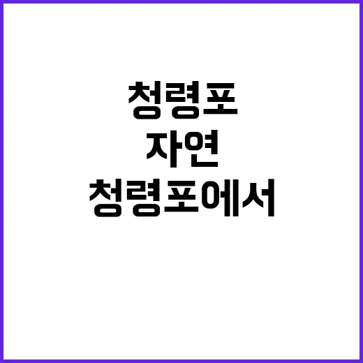 청령포에서 자연을 만끽하는 방법