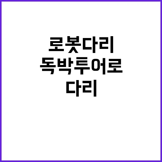 독박투어로 로봇다리…