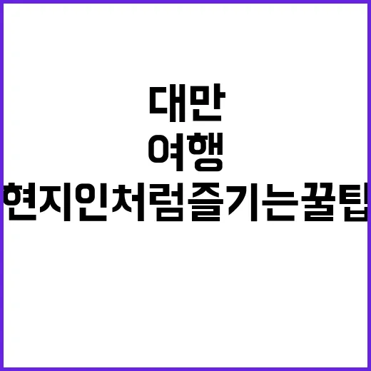 대만 여행을 계획하는 방법: 현지인처럼 즐기는 꿀팁