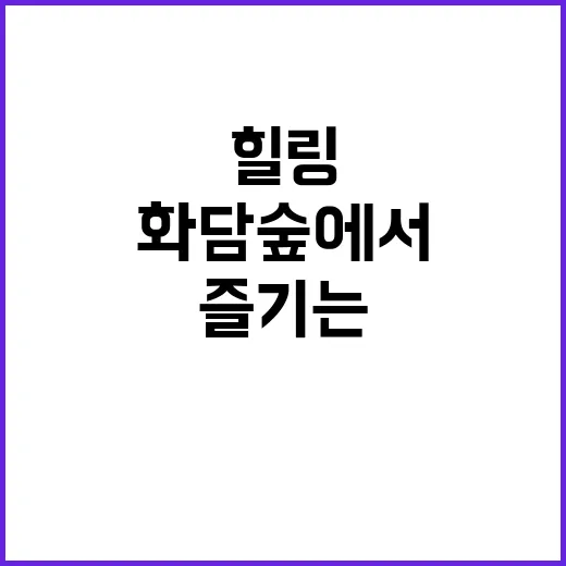 화담숲에서 힐링을 즐기는 방법