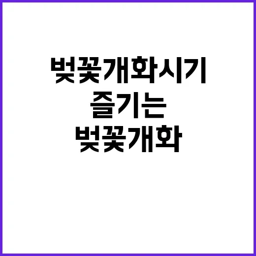 벚꽃 개화시기를 완…