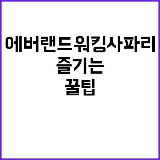 에버랜드 워킹사파리 즐기는 방법: 놓치지 말아야 할 꿀팁