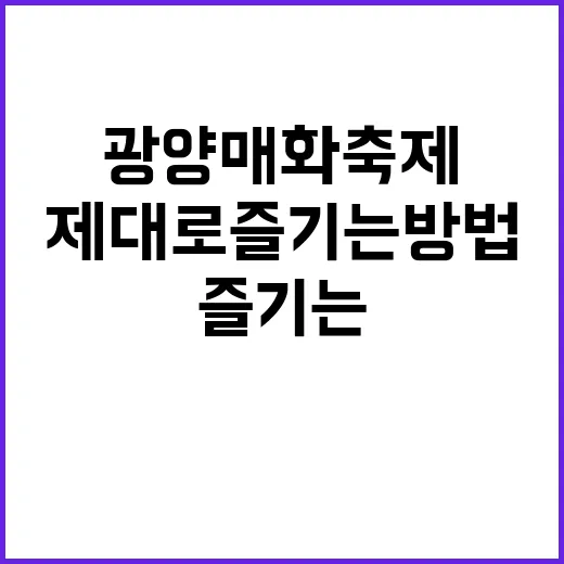 광양 매화축제를 제대로 즐기는 방법
