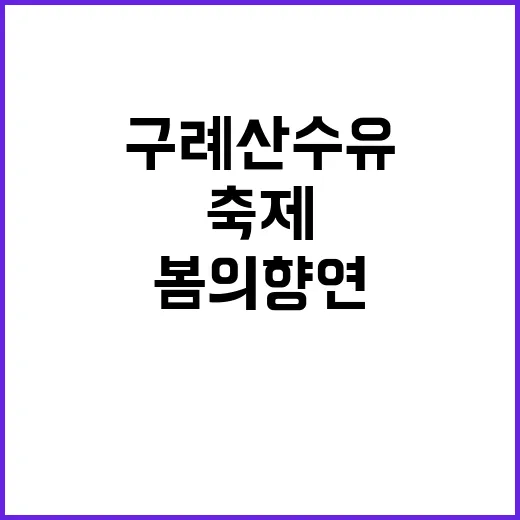 구례 산수유축제를 즐기는 방법: 봄의 향연에 빠져보세요