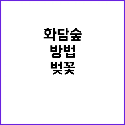 화담숲 벚꽃을 만끽…