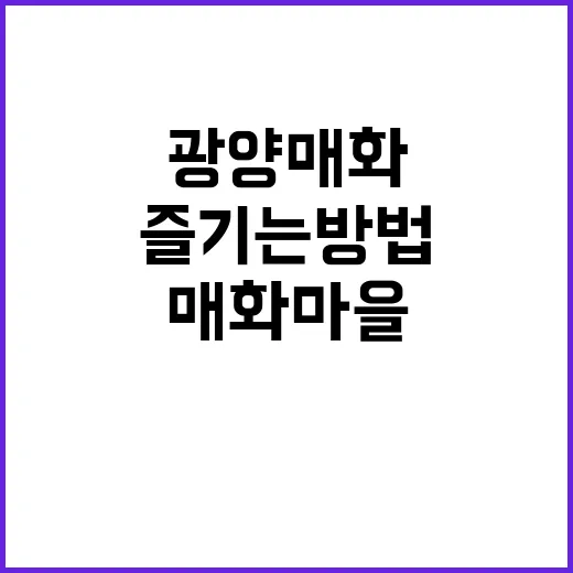 광양 매화마을을 완벽히 즐기는 방법