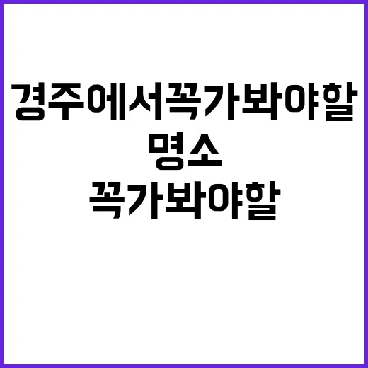 경주에서 꼭 가봐야 할 명소를 둘러보는 방법