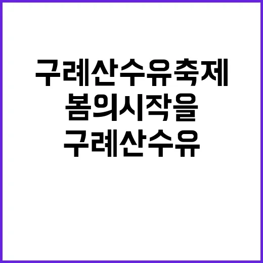 구례산수유축제를 즐기는 방법: 봄의 시작을 만끽하세요