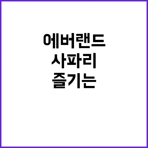 에버랜드 사파리 완벽하게 즐기는 방법