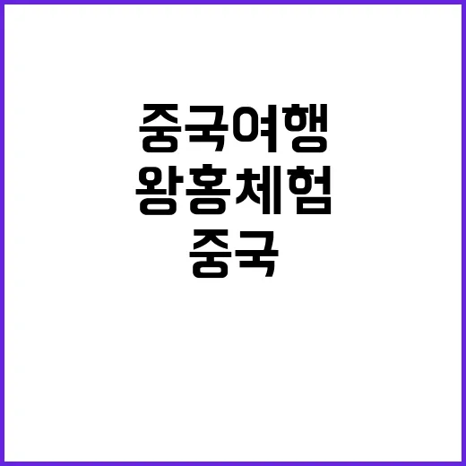 왕홍체험을 통해 중국 여행을 특별하게 만드는 방법