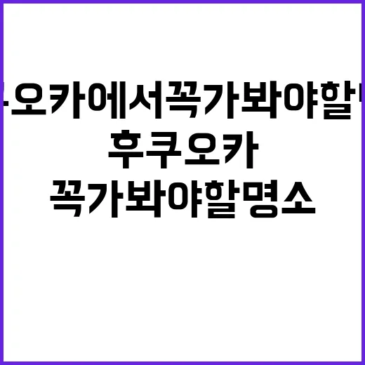 후쿠오카에서 꼭 가봐야 할 명소들 탐방 방법