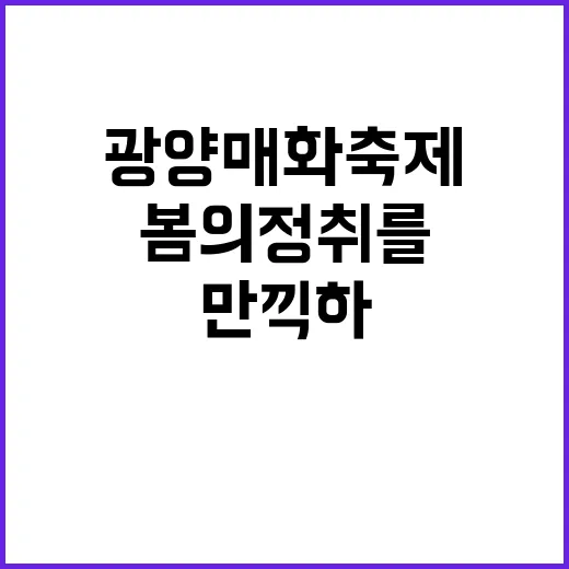 광양 매화축제를 만끽하는 방법: 봄의 정취를 제대로 느끼기