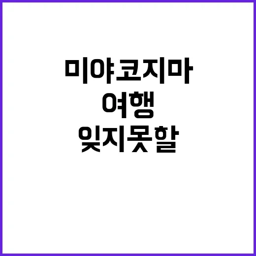 미야코지마에서 잊지 못할 여행을 만드는 방법