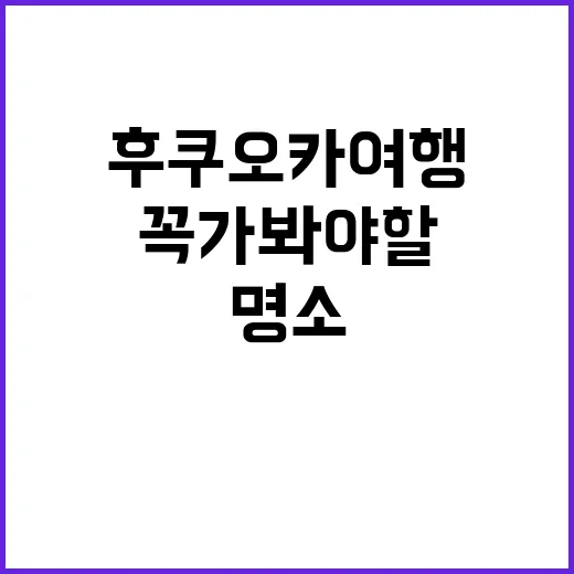 후쿠오카 여행: 꼭 가봐야 할 명소와 즐기는 방법