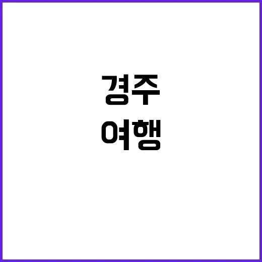 경주에서 꼭 방문해야 할 명소를 여행하는 방법