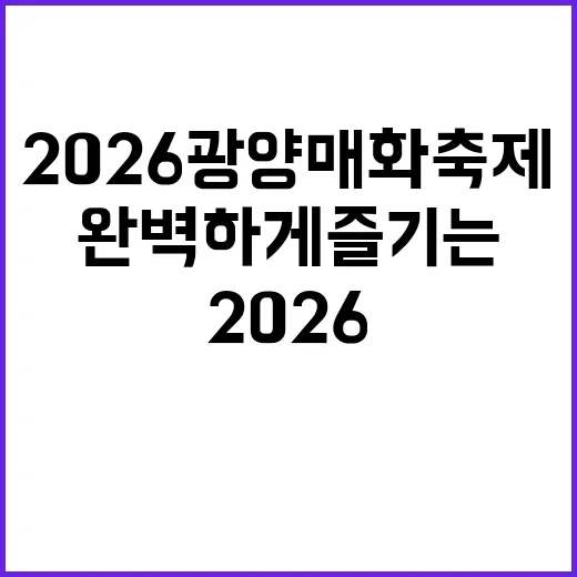 2026 광양 매화축제를 완벽하게 즐기는 방법