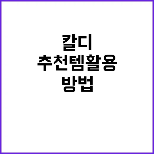 여행 중 칼디 추천…