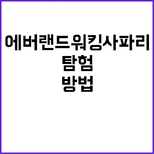 에버랜드 워킹사파리에서 더 즐겁게 탐험하는 방법