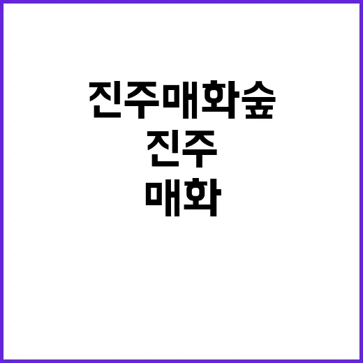 진주 매화숲을 감성…
