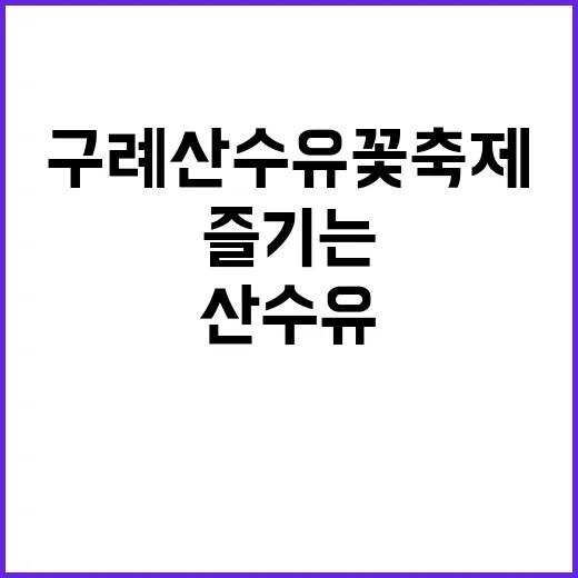 구례산수유꽃축제를 즐기는 방법