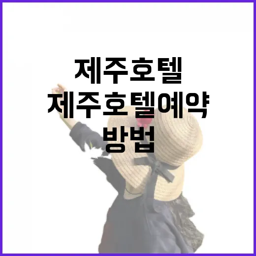 제주호텔 예약을 성공적으로 하는 방법 - 요약