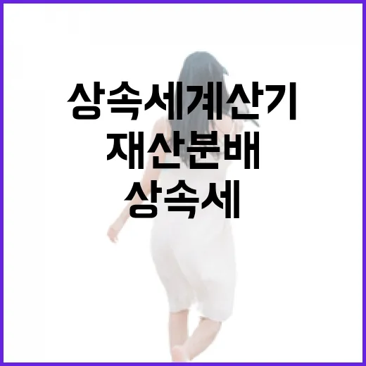 상속세계산기를 활용하여 재산 분배를 효율적으로 하는 방법 - 요약