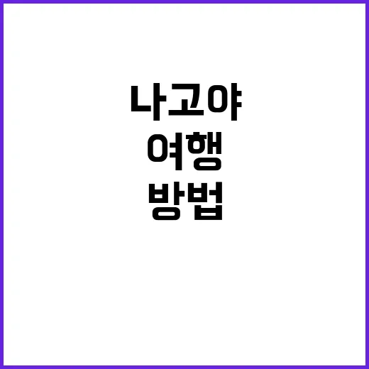 나고야에서 꼭 경험해야 할 여행 방법