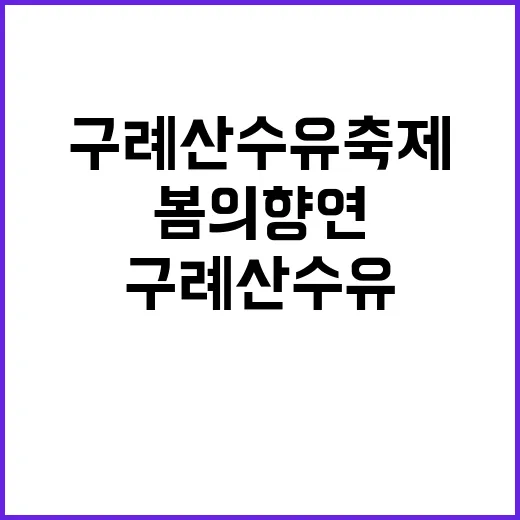 구례 산수유축제 즐기는 방법: 봄의 향연을 만끽하려면 이렇게