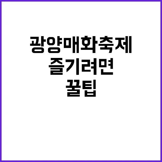 광양 매화축제를 즐…