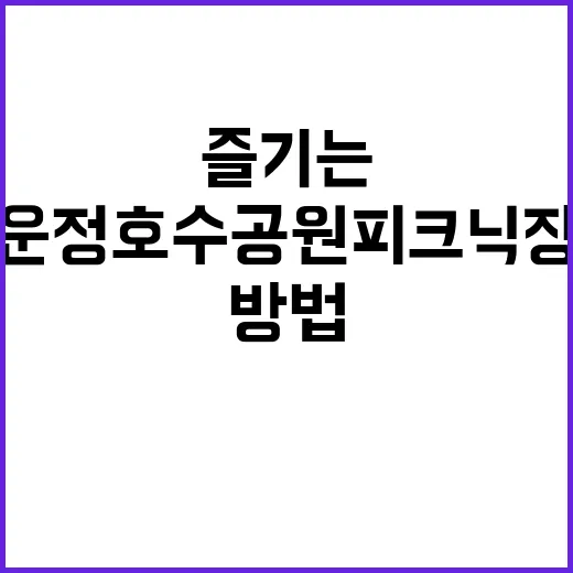 운정호수공원 피크닉장을 즐기는 방법