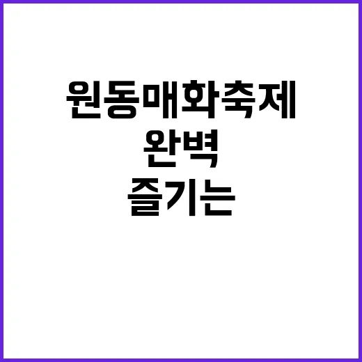 원동 매화축제를 완벽하게 즐기는 방법