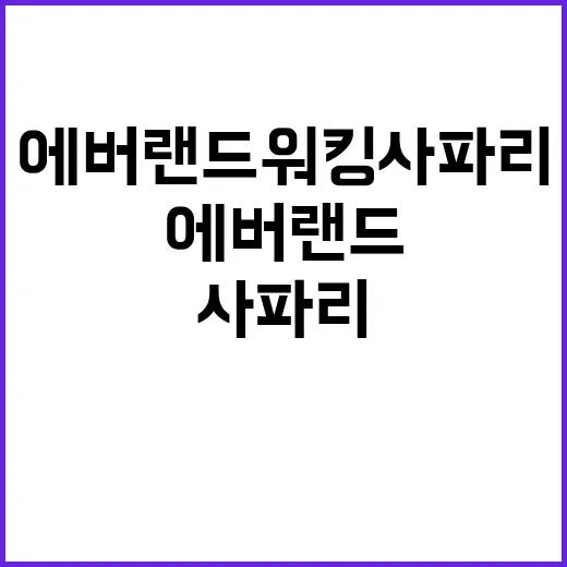 에버랜드 워킹사파리…