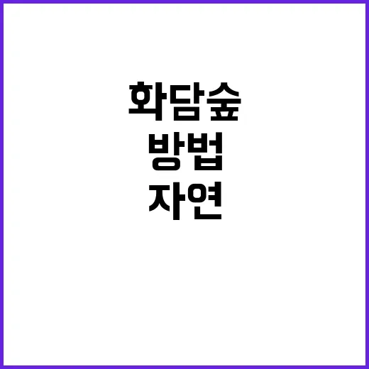 화담숲에서 자연과 소통하는 방법