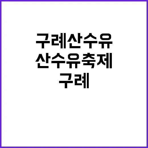 구례산수유축제를 만끽하는 방법