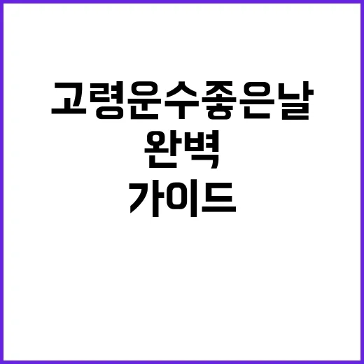 고령 운수좋은날을 즐기는 방법: 완벽한 하루를 위한 가이드