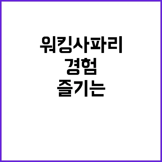 워킹사파리 제대로 즐기는 방법: 자연 속에서의 생생한 경험