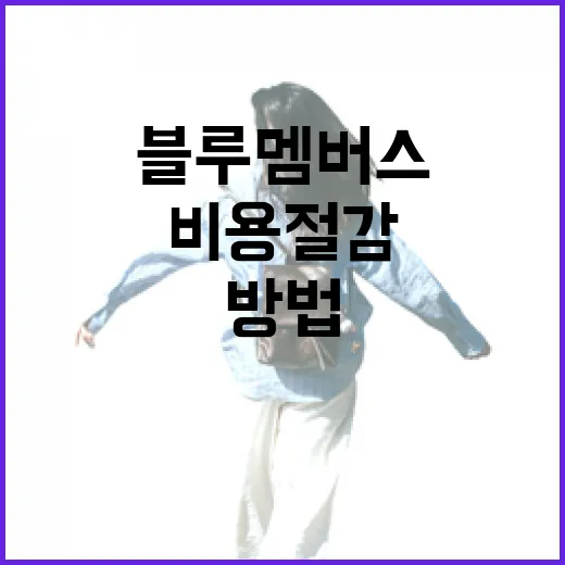 블루멤버스를 통해 여행 비용 절감하는 방법 - 요약