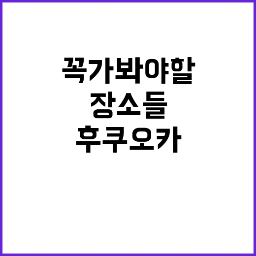 후쿠오카에서 꼭 가봐야 할 장소들