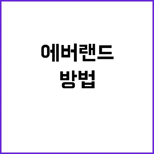 에버랜드에서 최고의 하루를 보내는 방법