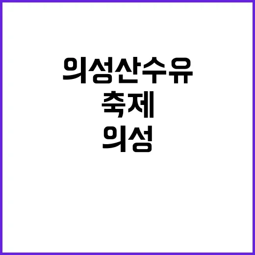 의성 산수유축제를 즐기는 방법