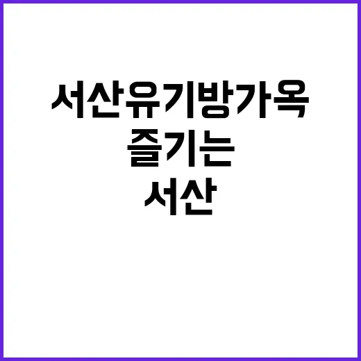 서산 유기방가옥을 완벽히 즐기는 방법