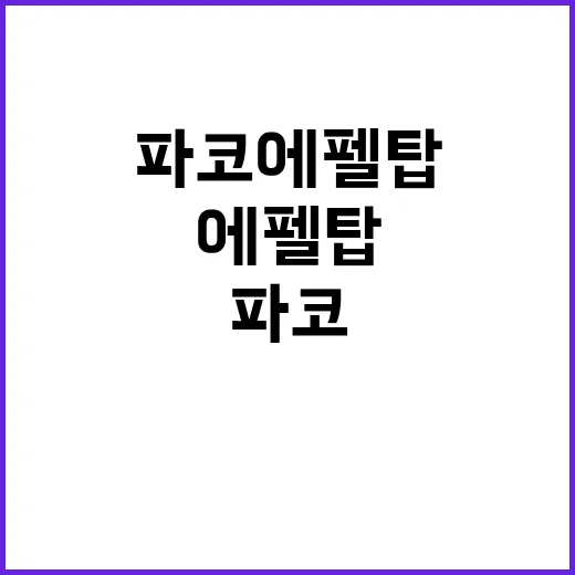 파코 에펠탑을 완벽하게 즐기는 방법