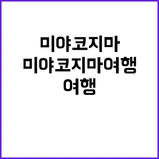 미야코지마 여행을 완벽히 즐기는 방법