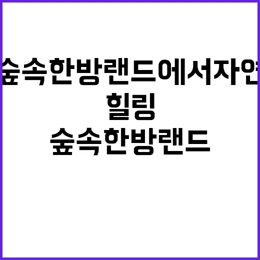 숲속한방랜드에서 자연과 힐링을 만나는 방법