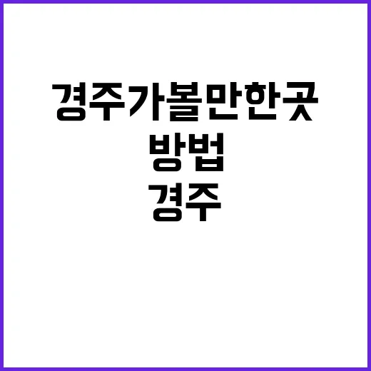 경주 가볼만한 곳을 찾는 방법