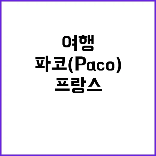 프랑스 파코(Paco) 여행을 완벽하게 즐기는 방법