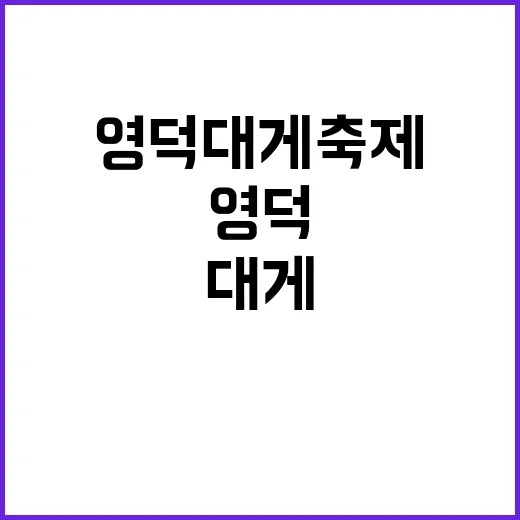 영덕대게축제를 만끽하는 방법