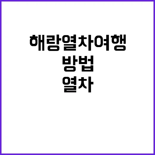 해랑열차 여행을 완벽하게 즐기는 방법