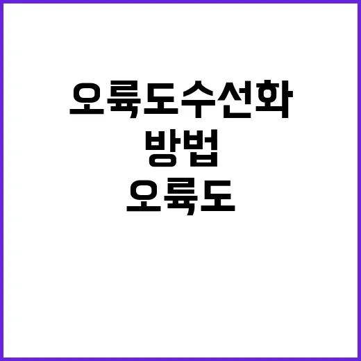오륙도 수선화 감상하는 방법