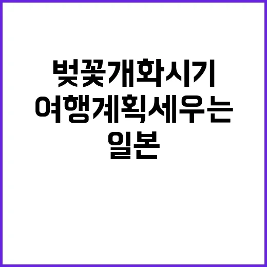일본 벚꽃 개화시기를 잘 이해하고 여행 계획 세우는 방법